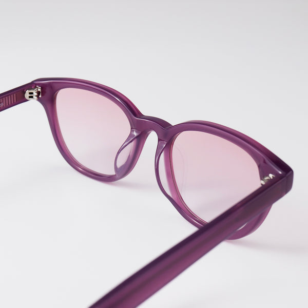 82761PC Photochromic Sunglasses